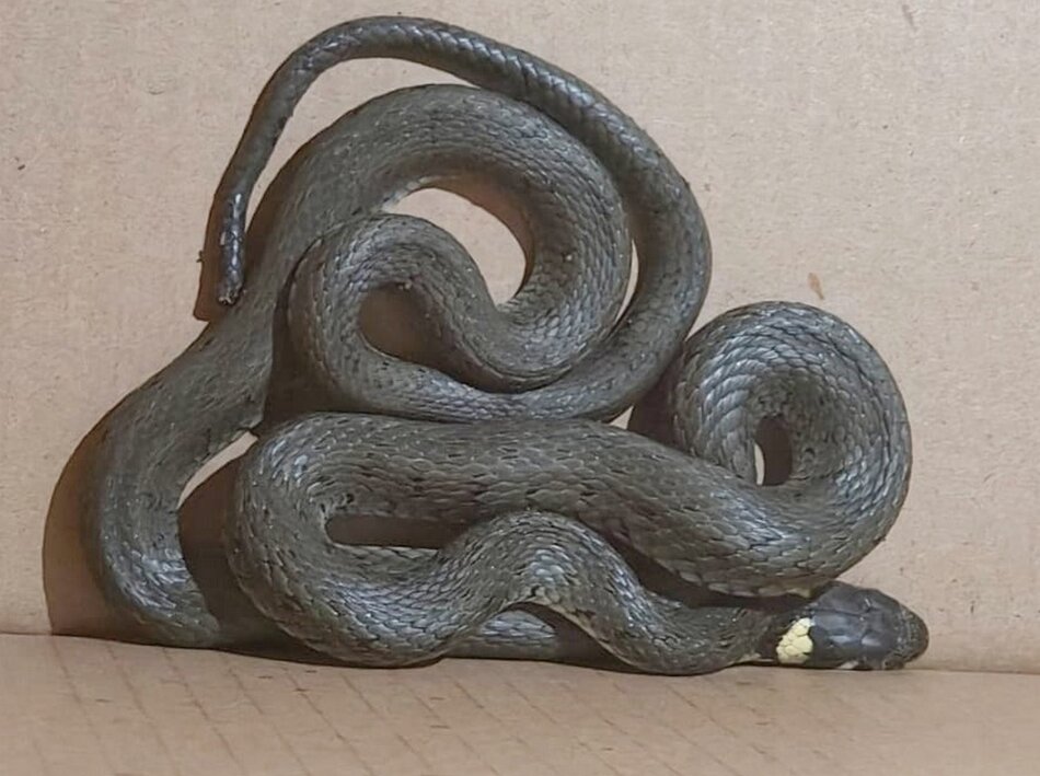 674177696_1267300732258751_1830440722660534178_n