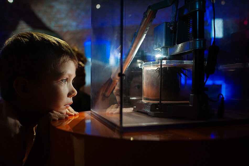 Mały chłopiec z ogromnym skupieniem przygląda się podświetlonemu urządzeniu mechanicznemu zamkniętemu w szklanej gablocie. Scena ta ma miejsce w nastrojowo oświetlonym pomieszczeniu, przypominającym nowoczesne centrum nauki lub muzeum techniki.