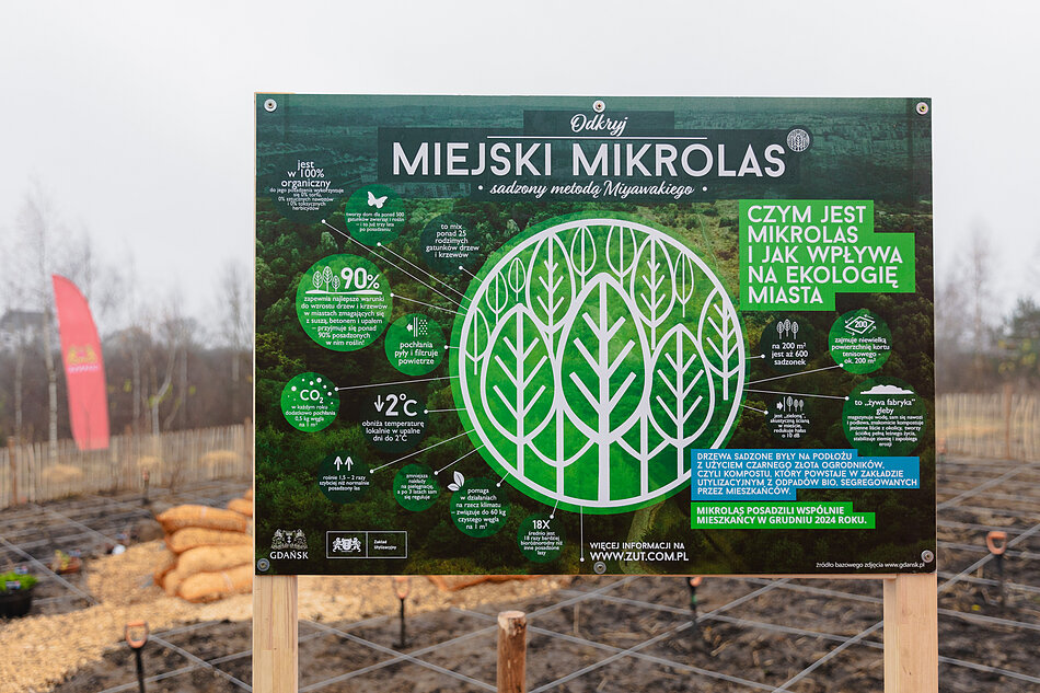 zielona tablica z napisem mikrolas
