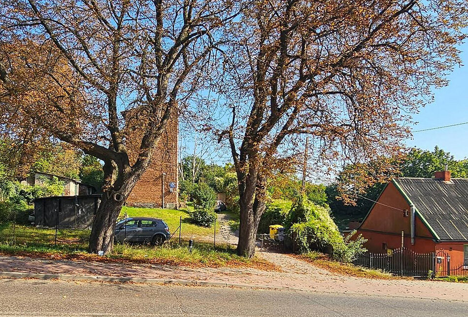 Dwa drzewa kasztanowce obok ulicy i starego domu z cegły. Pod drzewem stoi samochód.