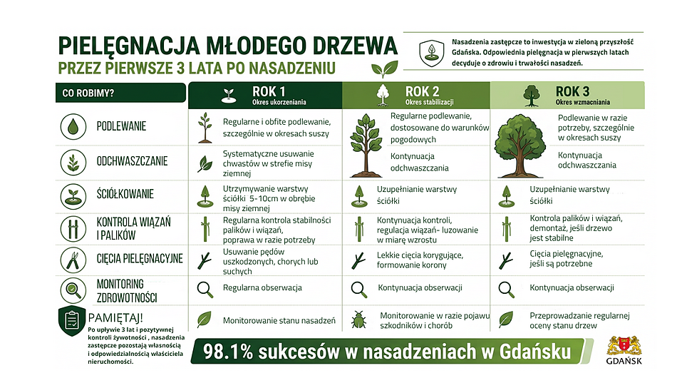 Obraz przedstawia ikonografikę informującą o pielęgnacji młodego drzewa przez pierwsze 3 lata po nasadzeniu