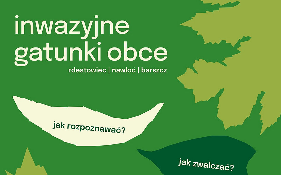 Grafika przedstawia zielony plakat informacyjny poświęcony inwazyjnym gatunkom obcym, ze szczególnym uwzględnieniem rdestowca, nawłoci oraz barszczu. Umieszczone na nim hasła sugerują, że materiał wyjaśnia, jak rozpoznawać te rośliny oraz w jaki sposób skutecznie z nimi walczyć.