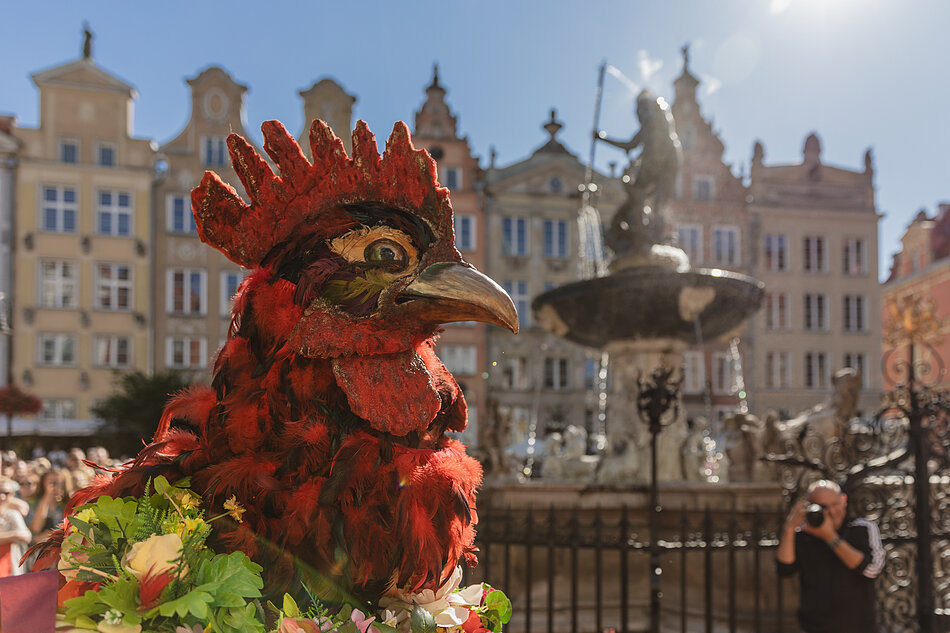Duży czerwony posąg koguta w środku placu z fontanną i budynkami w tle. Posąg składa się z czerwonych piór i ma żółty dziób i czerwony grzebień na głowie. Jest otoczony bukietem kwiatów i zieleni. W tle widoczne są osoby chodzące i jedna osoba robi zdjęcie, a budynki po lewej stronie są malowane w kombinacji kolorów żółka i beżu.