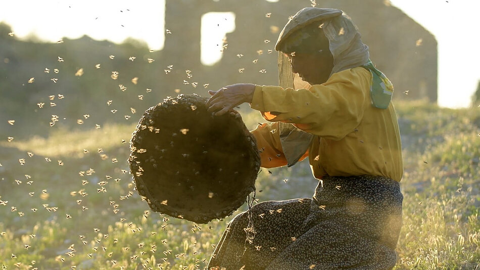 HoneylandFeat
