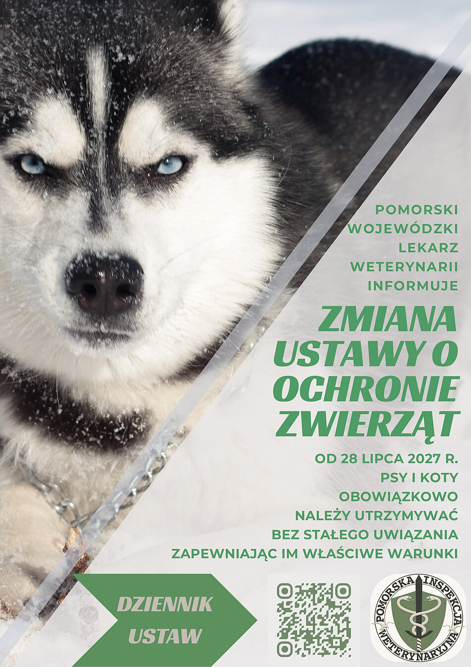 Plakat ze zdjęciem psa, informujący o zmianie przepisów ustawy o ochronie zwierząt. Najważniejsze zmiany to: OD 28 LIPCA 2027 R. PSY I KOTY OBOWIĄZKOWO NALEŻY UTRZYMYWAĆ BEZ STAŁEGO UWIĄZANIA, ZAPEWNIAJĄC IM WŁAŚCIWE WARUNKI