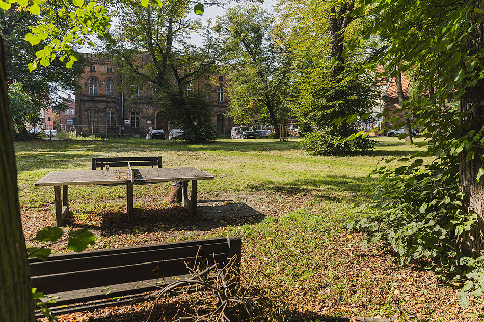 zielony park, na pierwszym planie ławka parkowa, w tle dużo drzew i trawnik