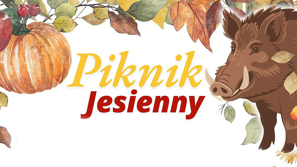 piknik jesienny