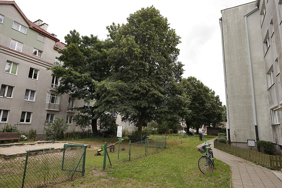 zielony teren pomiędzy dwoma budynkami mieszkalnymi