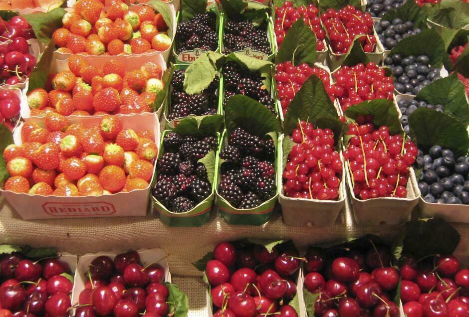 Konkurs ofert na prowadzenie sezonowych punktów handlowych sprzedaży owoców i warzyw