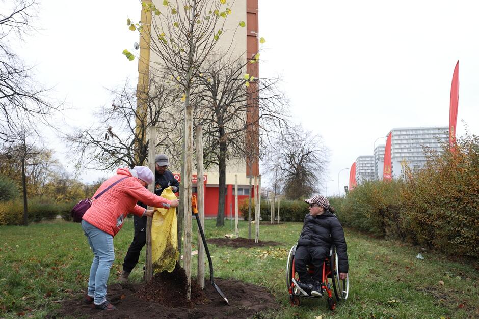 W sadzeniu drzew pomogli mieszkańcy Gdańska