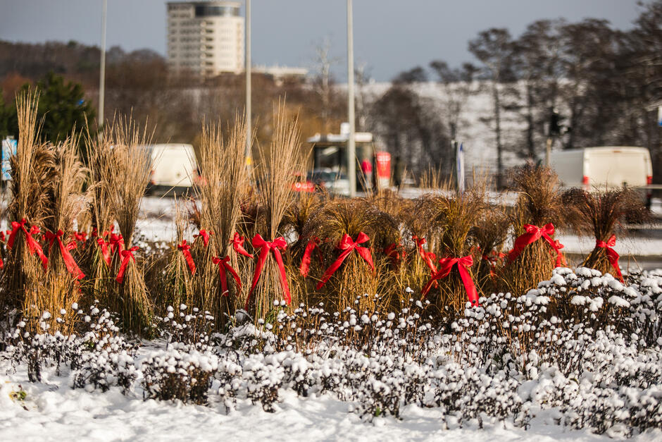 Wstążki to element dekoracyjny, ale również zabezpieczenie traw ozdobnych przed śniegiem
