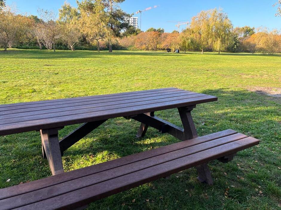W Parku Reagana ustawiliśmy 25 stołów piknikowych