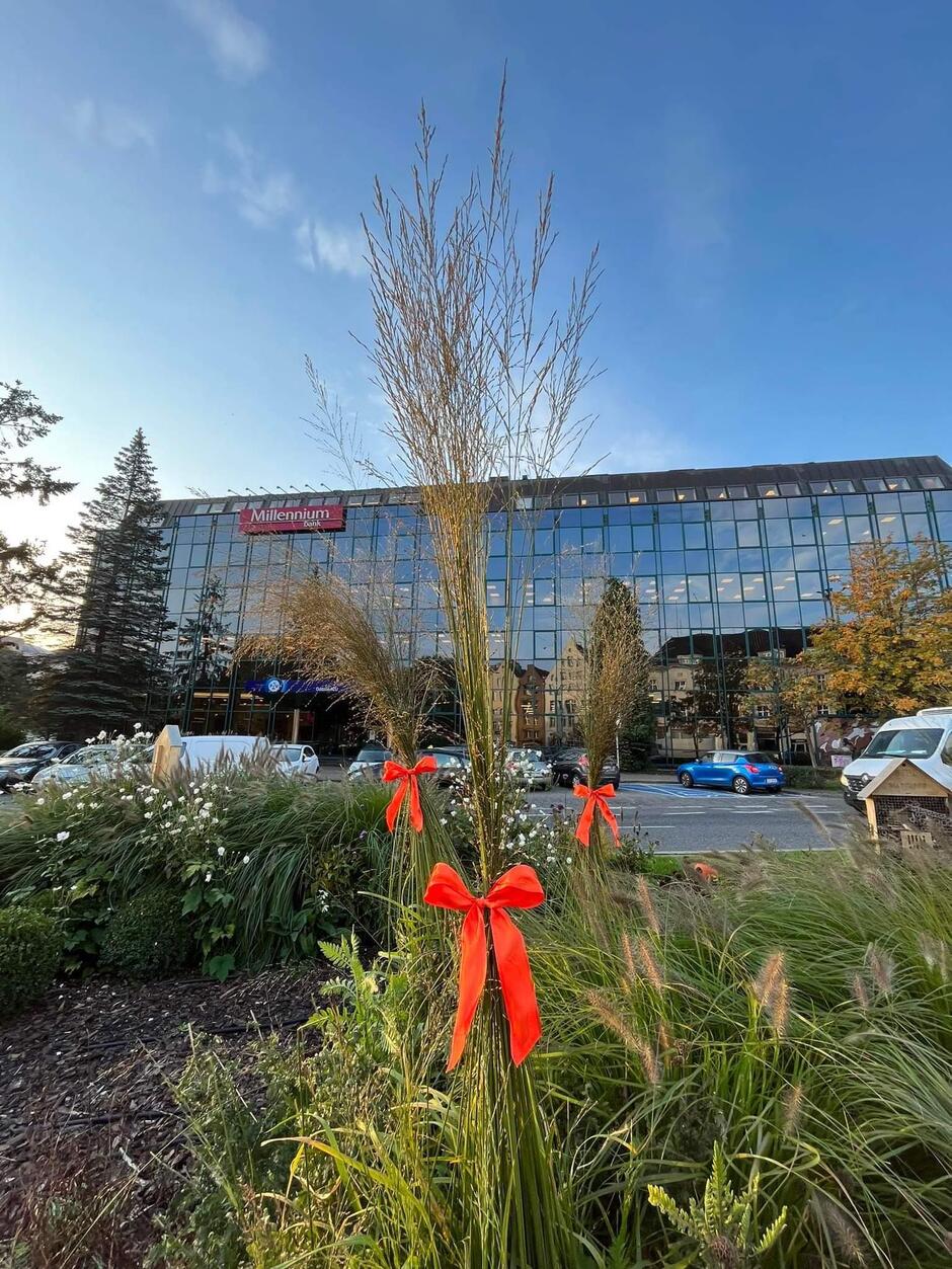 Gda ski Zarz d Dr g I Zieleni Gda ski Zarz d Dr g I Zieleni