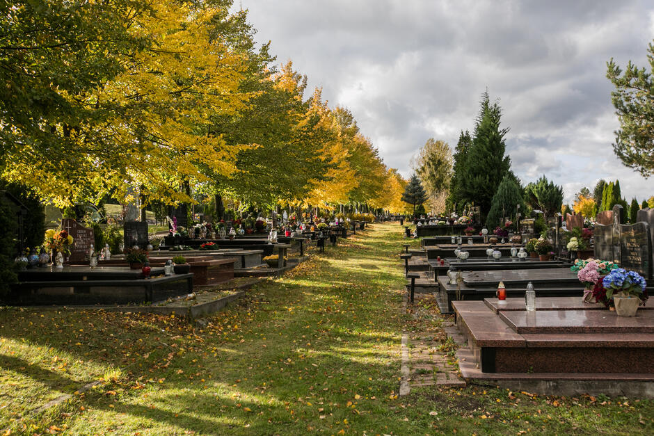 Od 28 października do 2 listopada obowiązuje zakaz wjazdu pojazdów na teren cmentarza Łostowickiego oraz Centralnego Srebrzysko