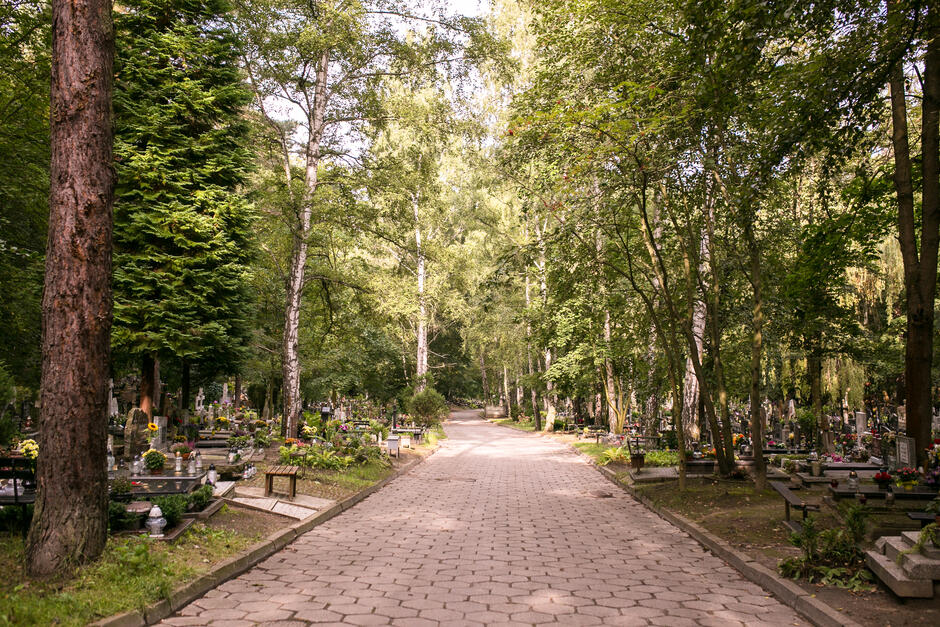 W dniu Wszystkich Świętych zmienia się organizacja ruchu wokół gdańskich cmentarzy