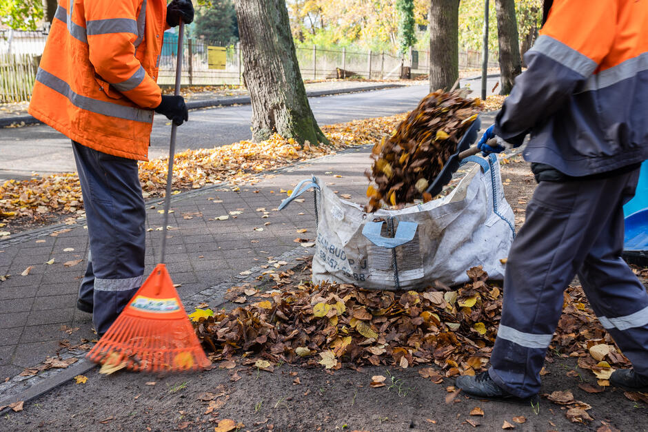 Zamiatanie liści to również jeden z aspektów utrzymania czystości i porządku w przestrzeni publicznej Gdańska