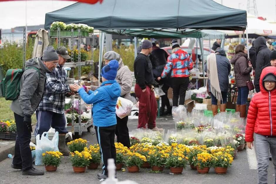 Na zdjęciu widoczne jest stoisko sprzedaży kwiatów i zniczy przy Cmentarzu Łostowickim