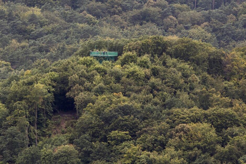 Na zdjęciu widoczny jest taras widokowy na wieży na Pachołku. W tle widoczne lasy oliwskie