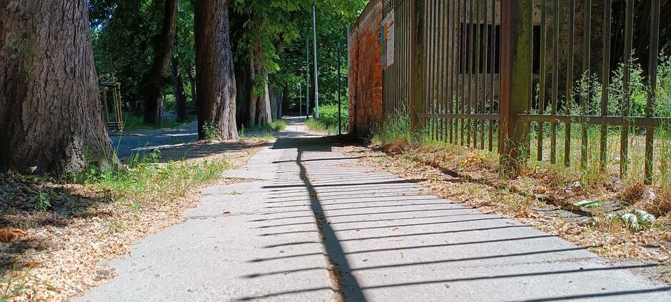 Zdjęcie przedstawia wyeksploatowane płyty chodnikowe na ulicy Romera