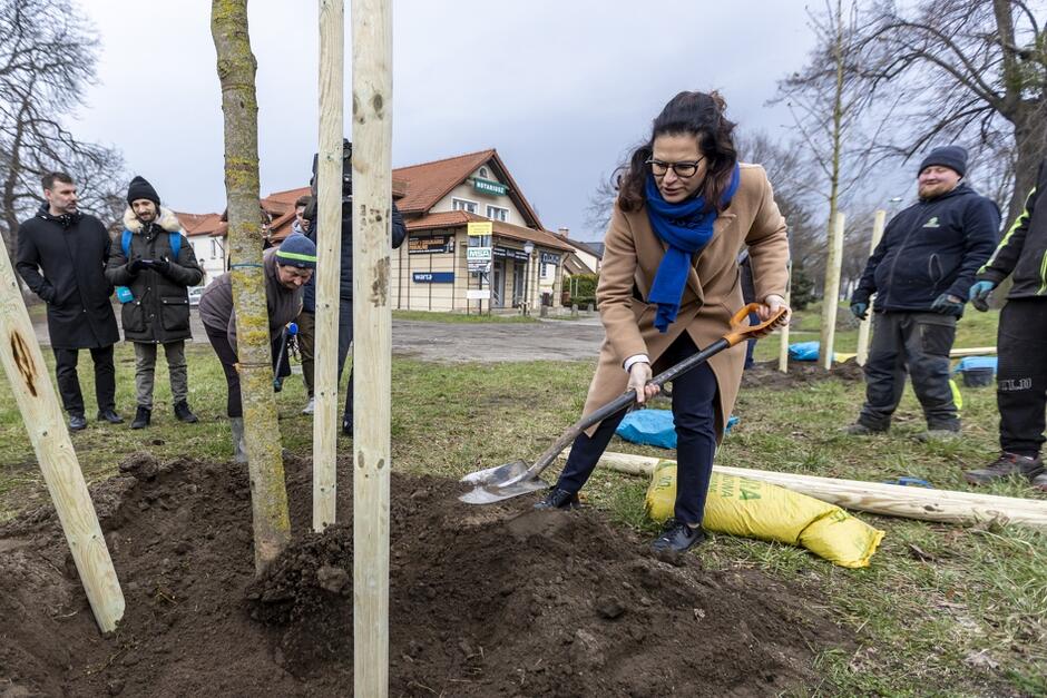 W akcji sadzenia drzew przy ulicach Pomorskiej i Gospody uczestniczyła prezydent Gdańska Aleksandra Dulkiewicz
