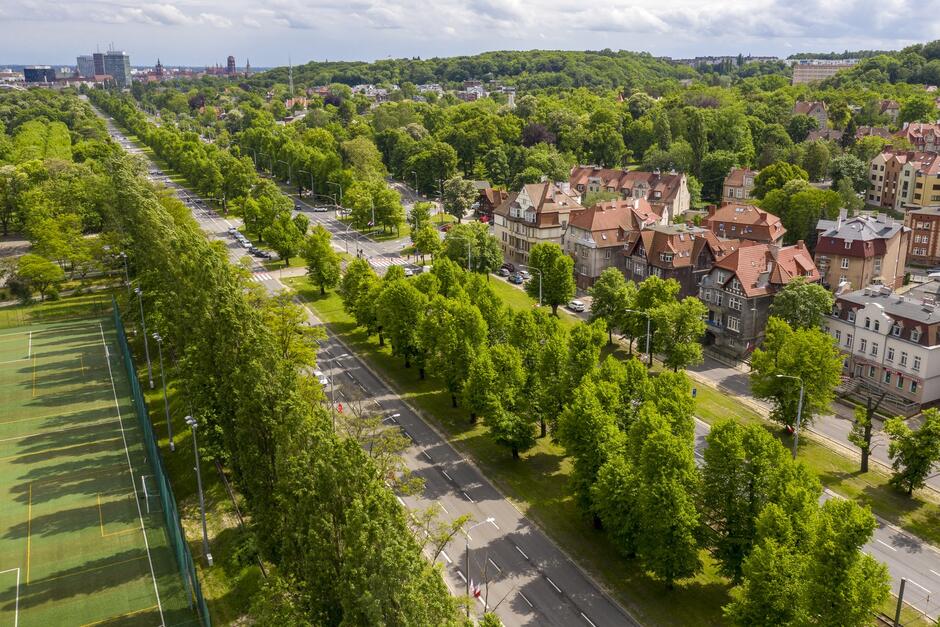 Na zdjęciu widok z lotu ptaka na Wielką Aleję Lipową w Gdańsku.