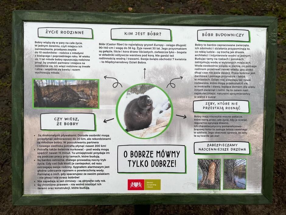 Gda ski Zarz d Dr g I Zieleni Gda ski Zarz d Dr g I Zieleni