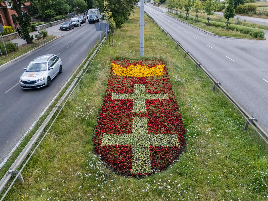 Herb Gdańska wypełniony begoniami i aksamitkami.
