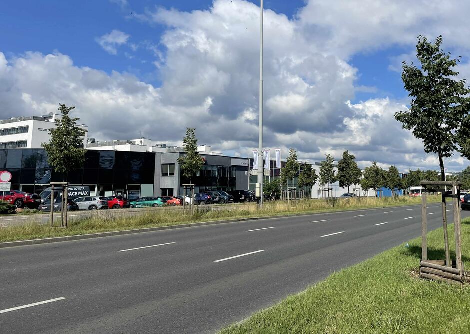 Aleja Grunwaldzka 311 (Castorama) PO