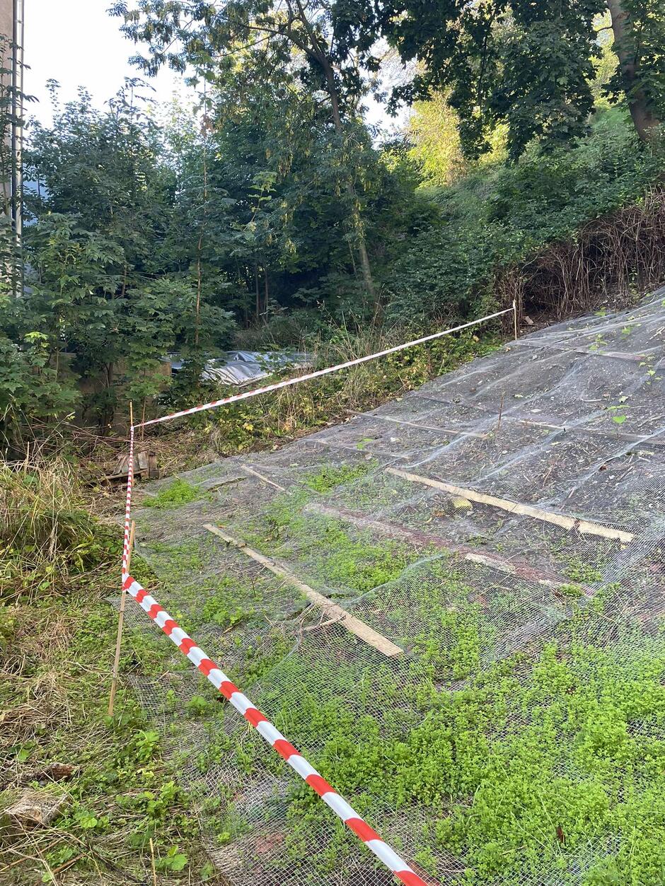 548108802_1942916103167552_2964058764183112488_n