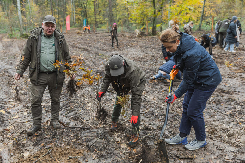 WhatsApp Image 2025-10-29 at 15.25.51 (10)