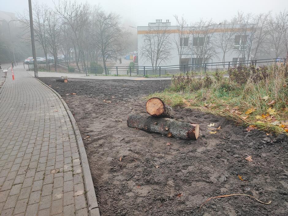 Bylinowa ALEJA PRZED