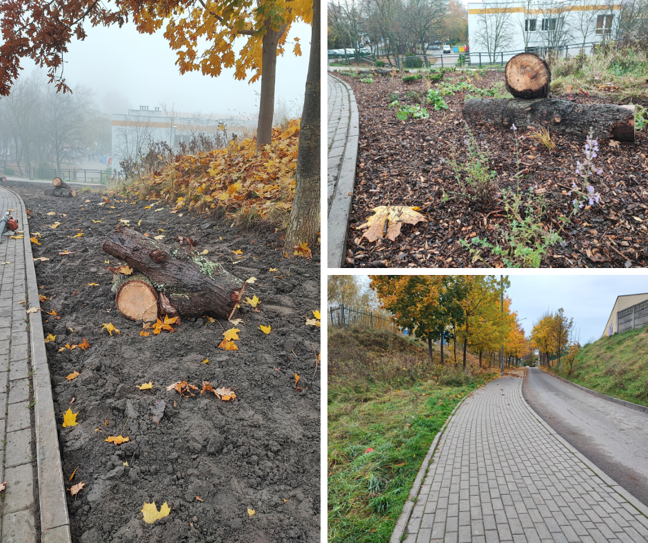 Projekt bez nazwy (2)