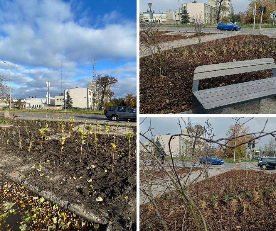 Projekt bez nazwy (3)