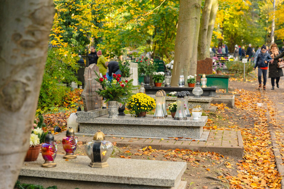 gcm-download-1920-20231101-kwesta_srebrzysko-49.de9d859c