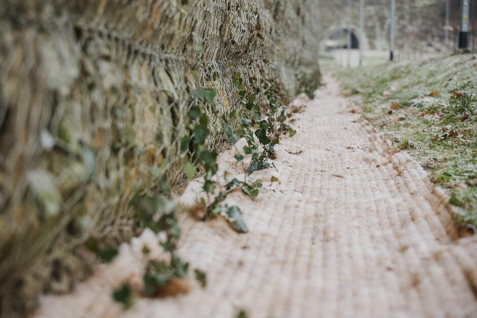 JarWilanowski_2025-4