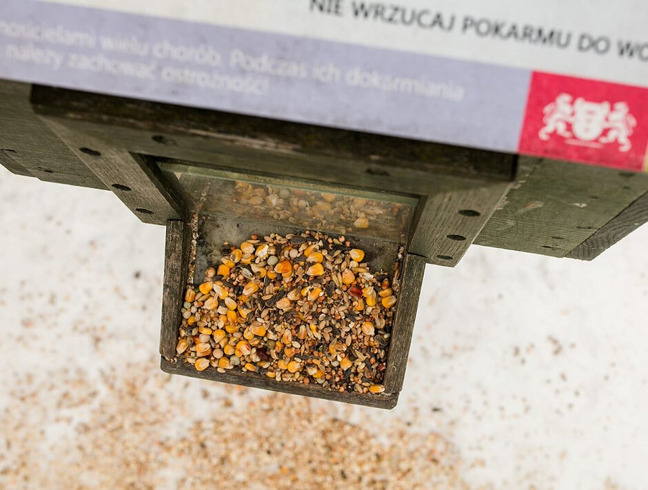 Na zdjęciu widoczna jest umieszczona w kaczkomacie porcja ziaren przeznaczonych do karmienia ptaków zimą