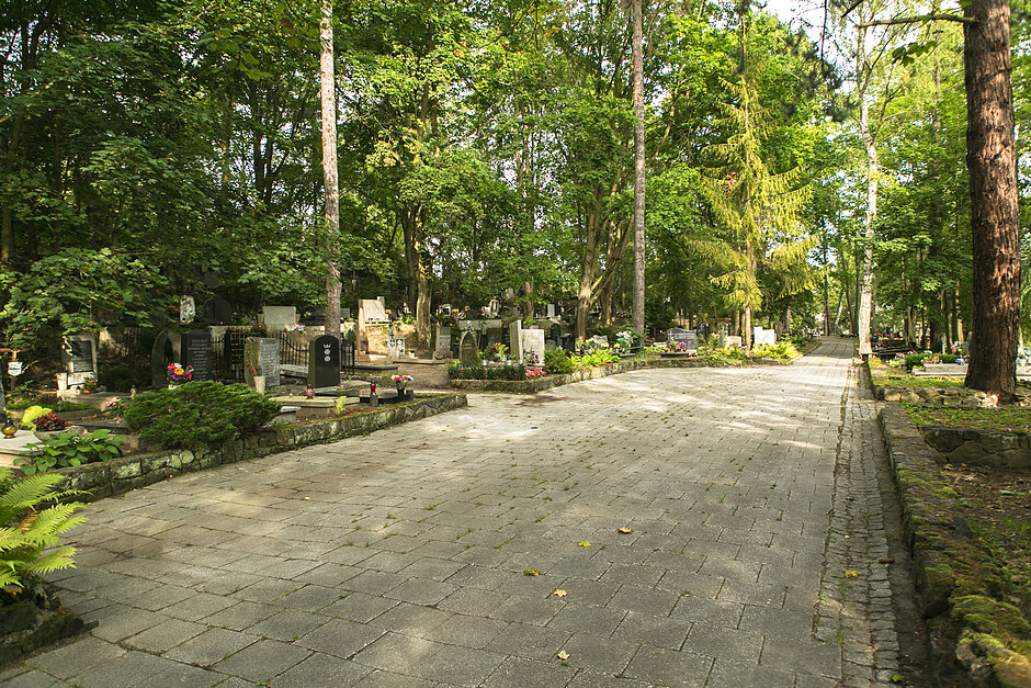 Na zdjęciu widoczny jest fragment alei cmentarnej na Cmentarzu Centralnym Srebrzysko 