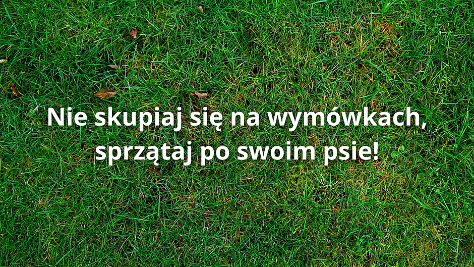 Na grafice znajduje się biały napis na zielonym tle: Nie skupiaj się na wymówkach, sprzątaj po swoim psie! 