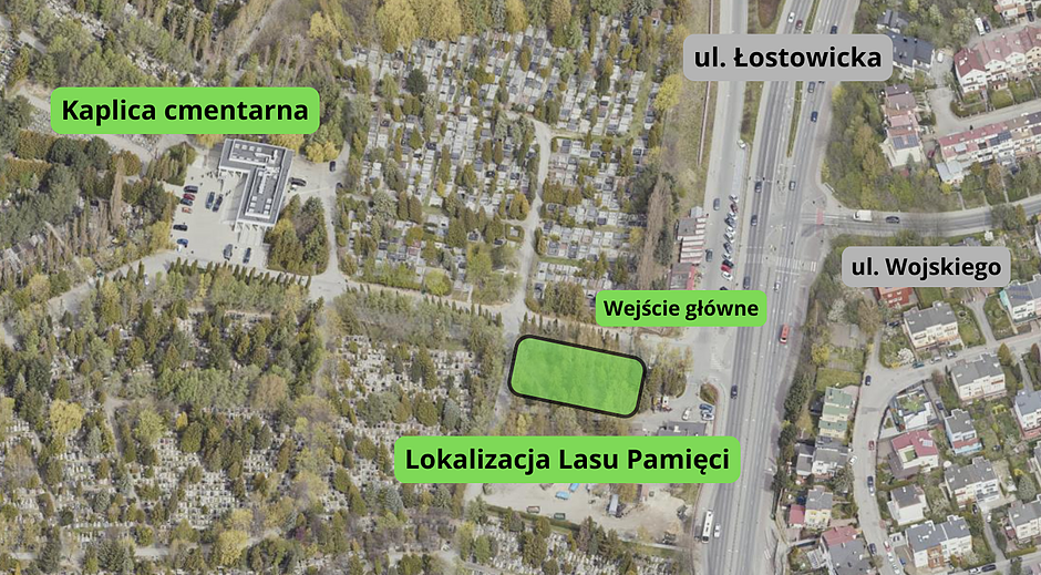 Lokalizacja Lasu Pamięci na Cmentarzu Łostowickim