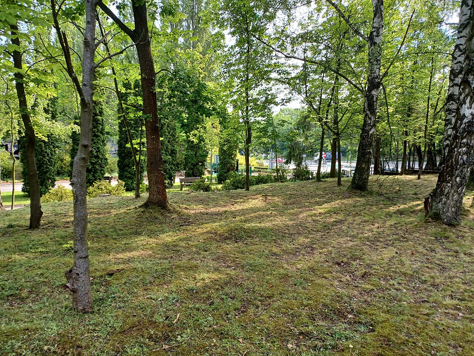 W Lesie Pamięci  na Cmentarzu Łostowickim rolę pomników przejmą drzewa i krzewy, a cały teren ma zachować charakter miejsca ukształtowanego w jak największym stopniu przez naturę
