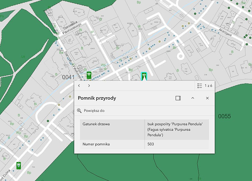 Na mapie zaznaczono ponad 300 gdańskich pomników przyrody