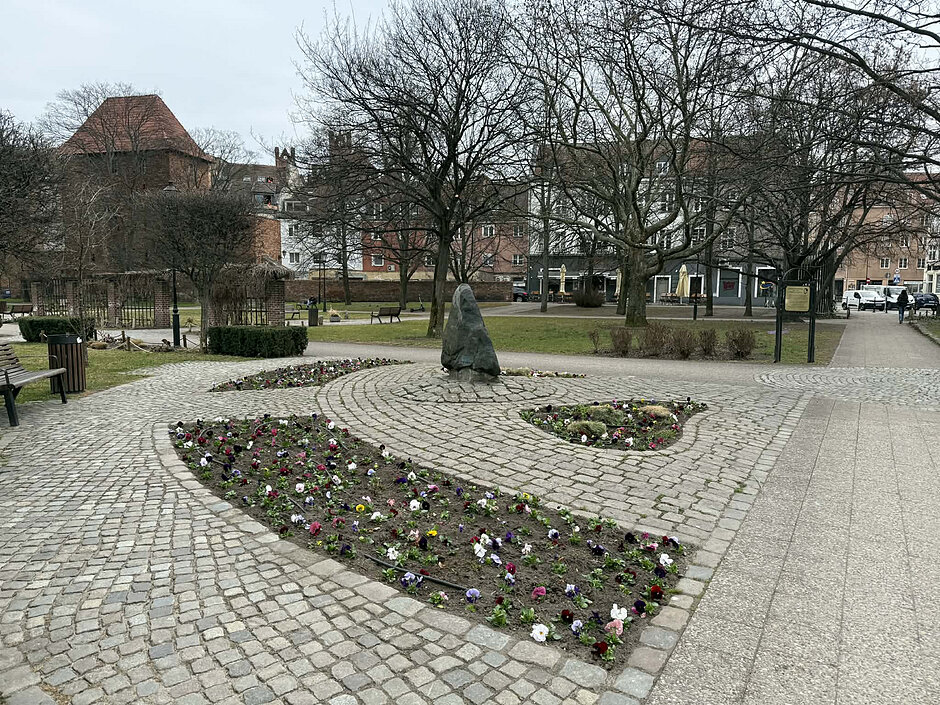 Na zdjęciu widoczne są bratki rosnące na Placu Kobzdeja.