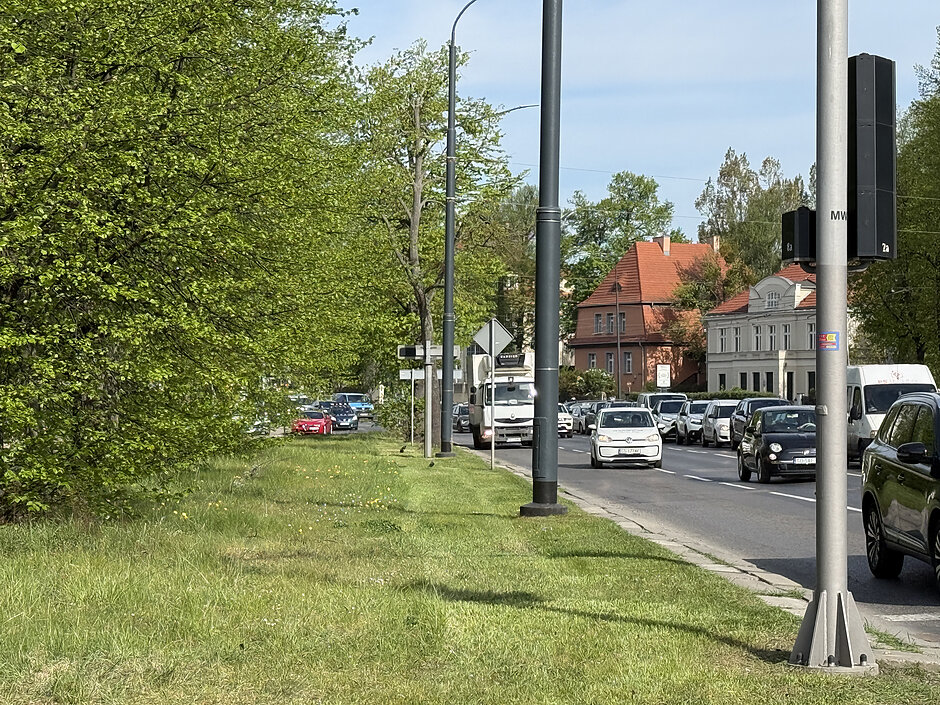 Na zdjęciu widać pas zieleni wzdłuż jezdni, który jest skoszony bezpośrednio przy skrajni. Dalej pozostawiamy zielone poletka, by pomóc drzewom.