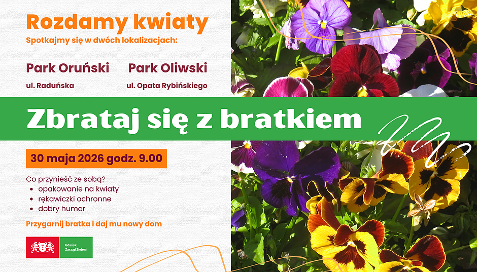 Na plakacie znajdują się informacje o wydarzeniu Zbrataj się z bratkiem!  Spotykamy się w najbliższą sobotę, 30 maja o godz. 9.00 w dwóch lokalizacjach: - w Parku Oruńskim, przy budynku Przedszkola nr 9 im. Emilii Hoene - w Parku Oliwskim, przy rotundzie Palmiarni