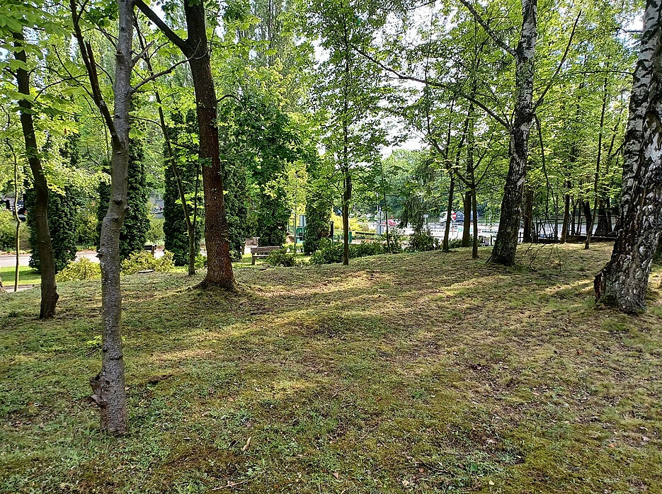 Teren przyszłego Lasu Pamięci  na Cmentarzu Łostowickim w Gdańsku