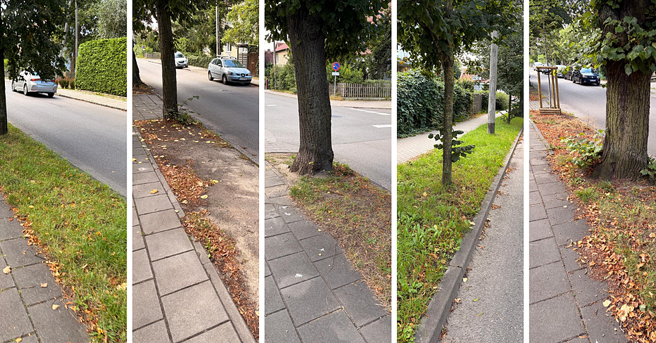 Na zdjęciach widoczne są lokalizacje Przymorza Małego, gdzie zostaną posadzone rośliny