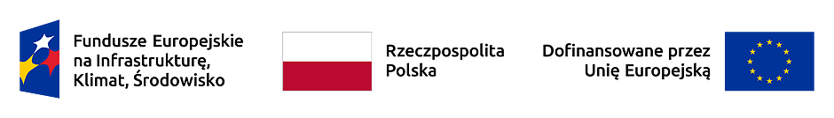 FENIKS_RP_UE_RGB-1