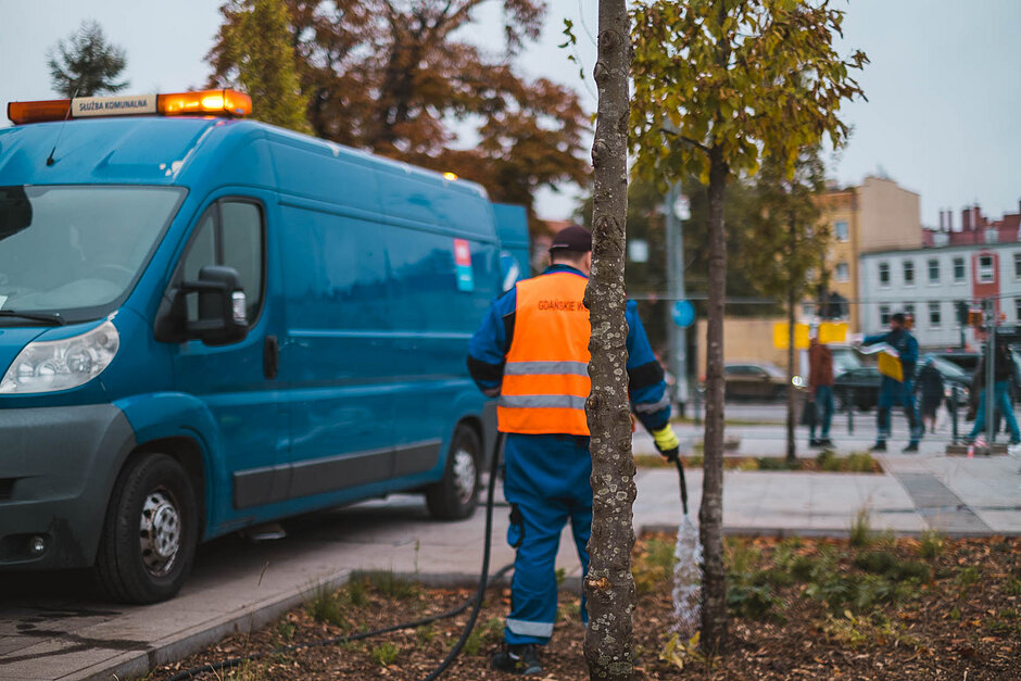 Na zdjęciu widoczny jest pracownik Gdańskich Wód, który podlewa posadzone w miejscu betonu drzewo