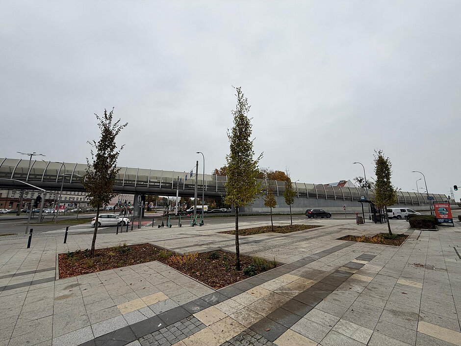 Na zdjęciu widoczne są nowe rozbruki pod Galerią Bałtycką i posadzone graby oraz byliny, które zastąpiły płyty chodnikowe.