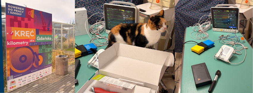 Plakat kampanii Kręć Kilometry dla Gdańska oraz zwierzaki i sprzęt weterynaryjny